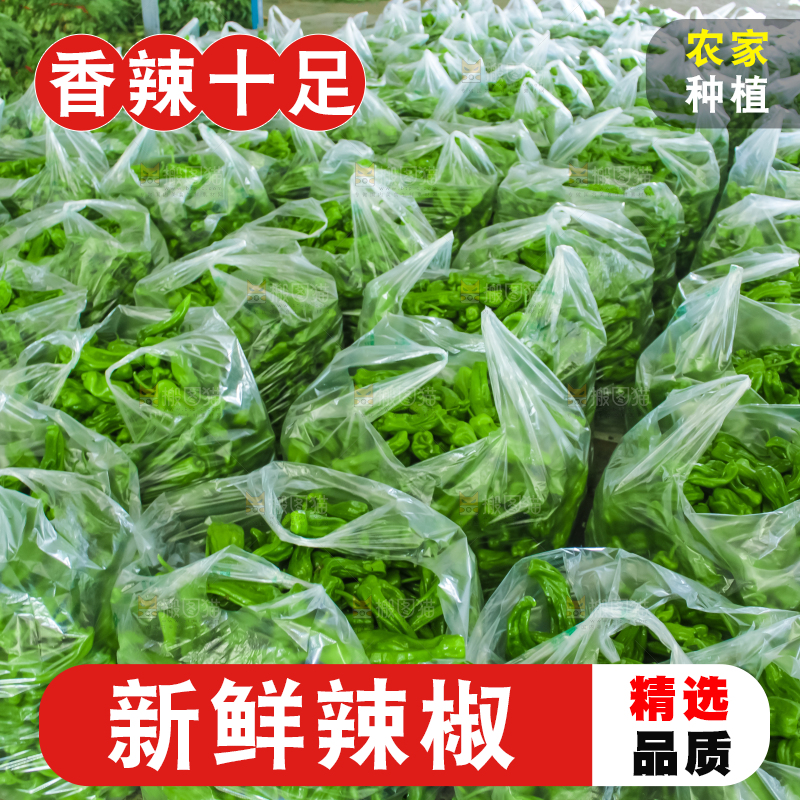 袋子里装着青辣椒