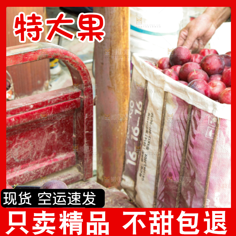 框子里装着红布林