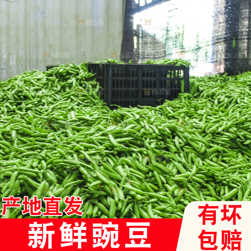 地上堆着豌豆