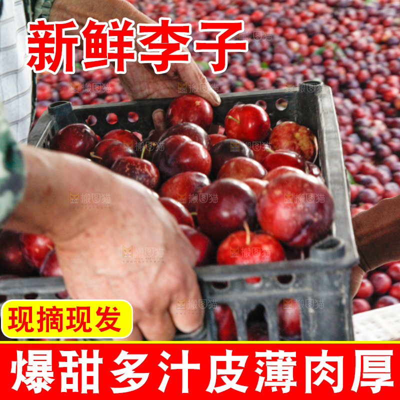 一堆红布林