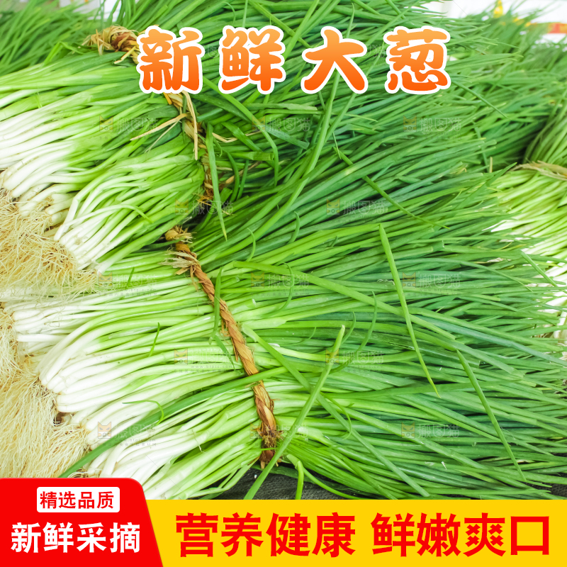 地上摆放着一堆大葱
