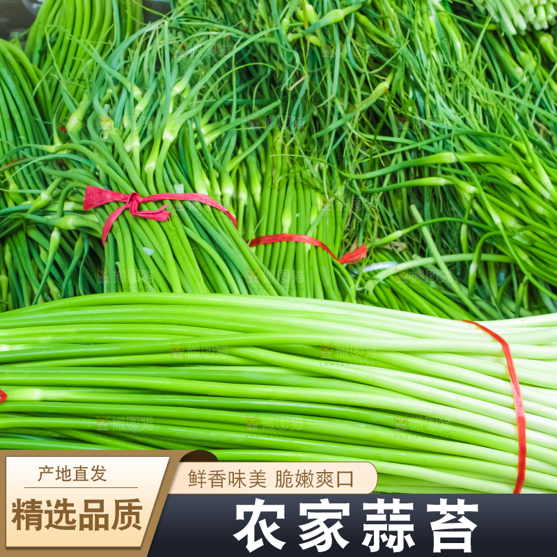 一堆新鲜蒜苔