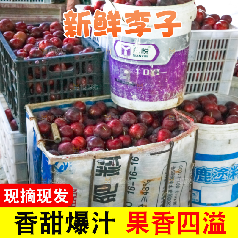 框子里装着红布林