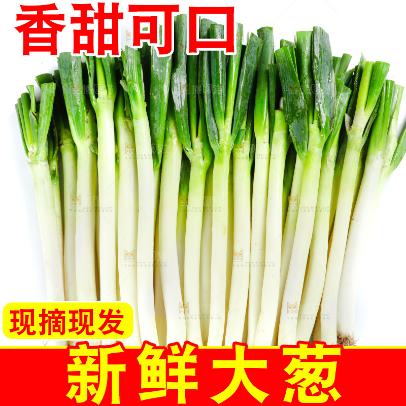 白底上的大葱