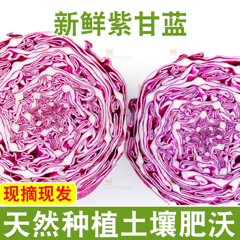 白底上放着甘蓝