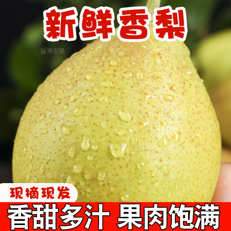 手拿新鲜酥梨