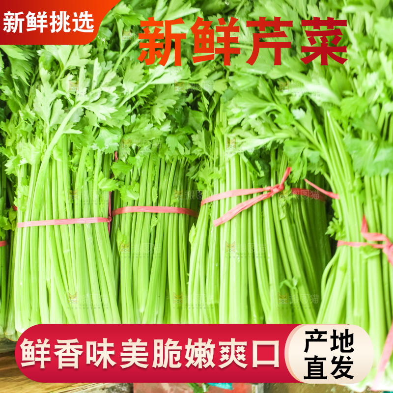 一堆新鲜芹菜