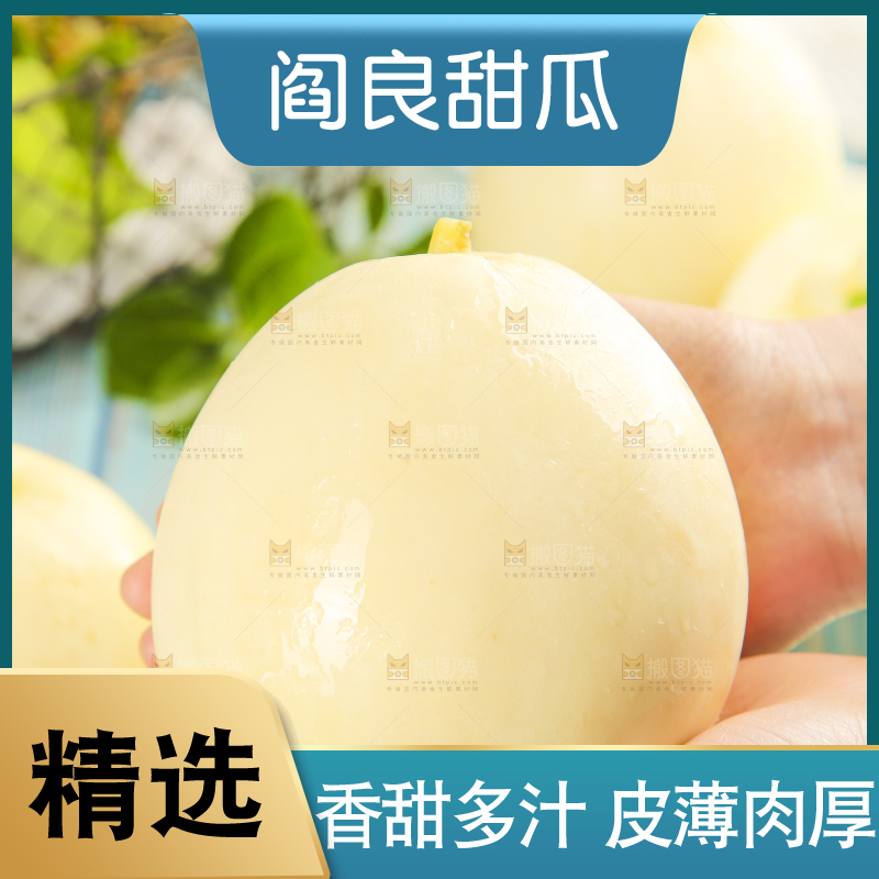 双手里捧着陕西阎良甜瓜