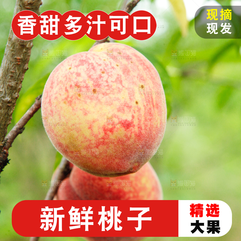 树上挂着胭脂红桃子