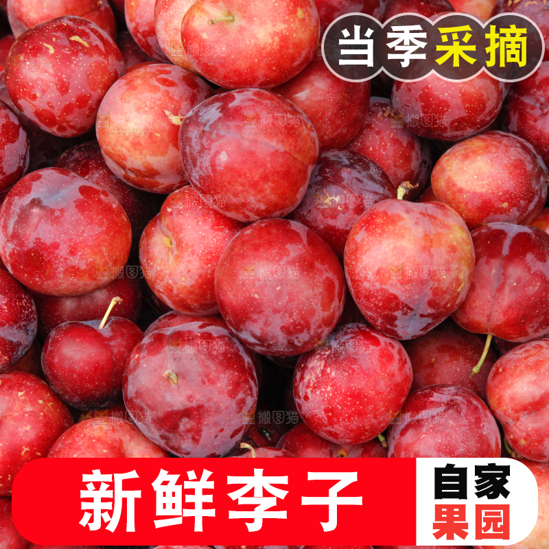 框子里装着红布林