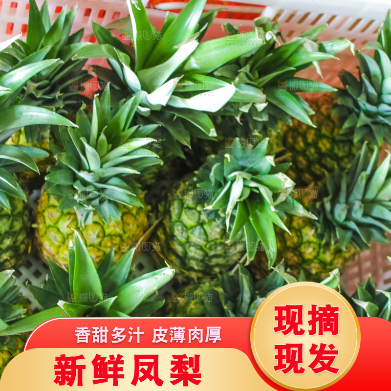 框子里装着凤梨