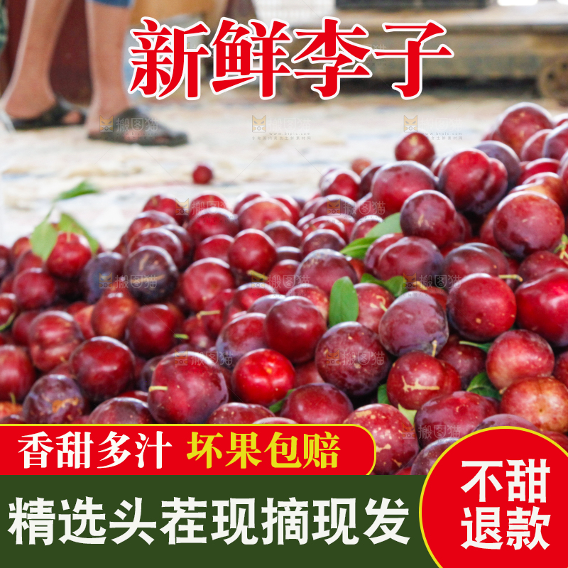 框子里装着红布林