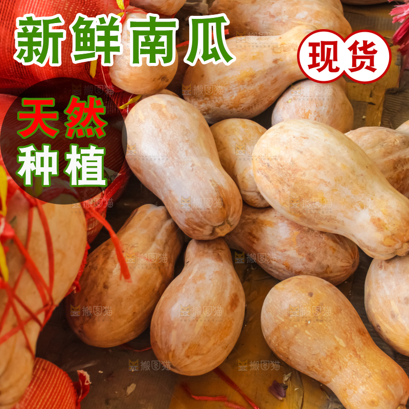 袋子里的老南瓜