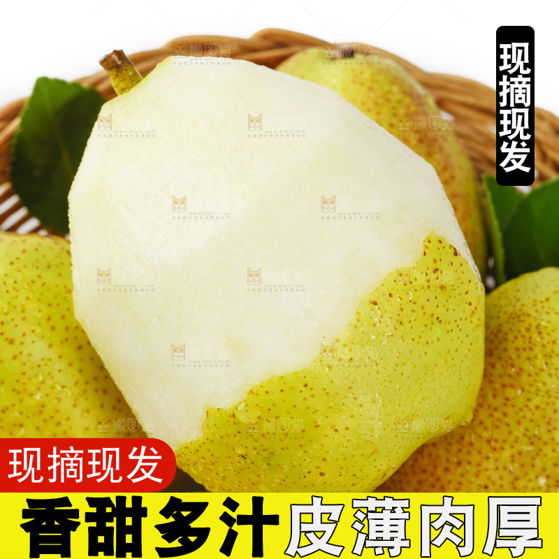 一筐陕西红香酥梨放在白底上