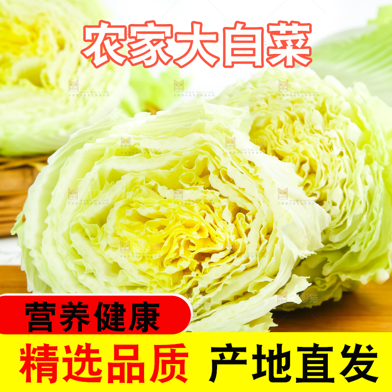 木底上放着新鲜大白菜