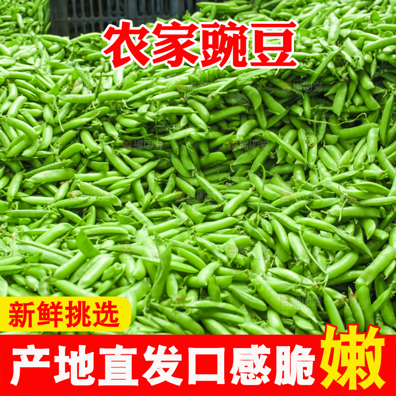 地上堆着豌豆