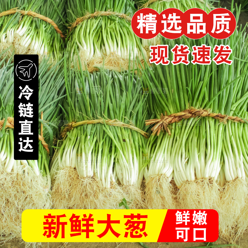 地上摆放着一堆大葱