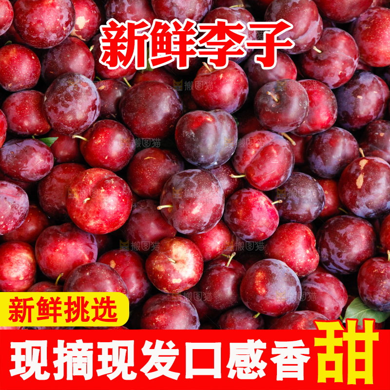 框子里装着红布林