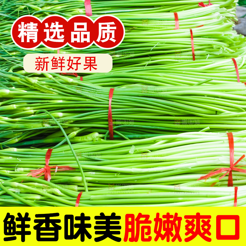 一堆新鲜蒜苔
