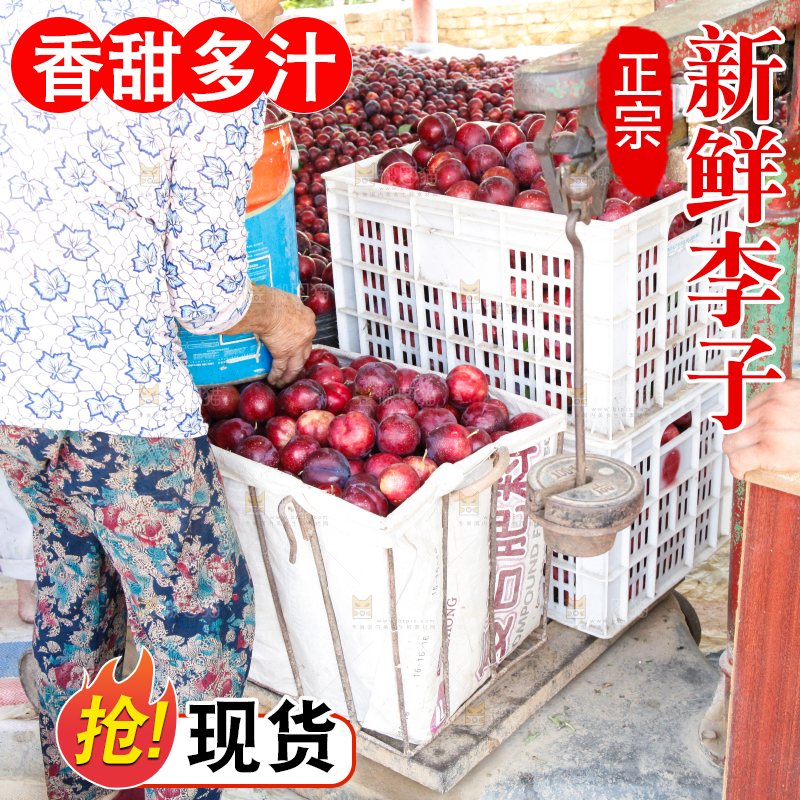 框子里装着红布林