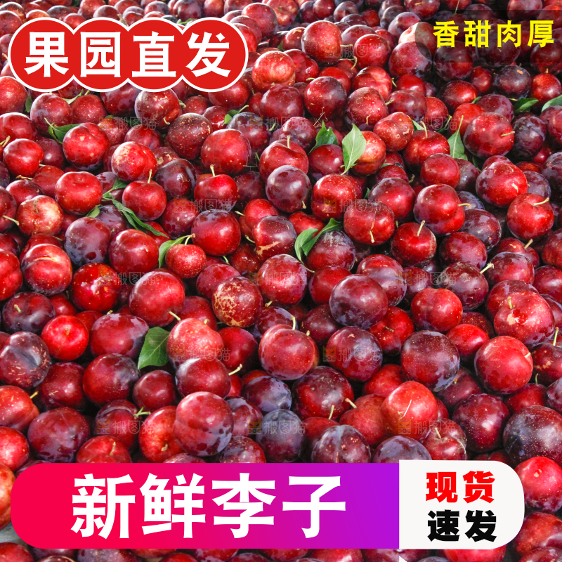 一堆红布林