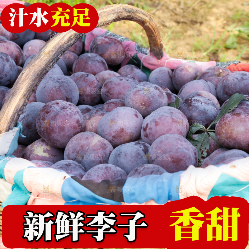 框子里装着红布林