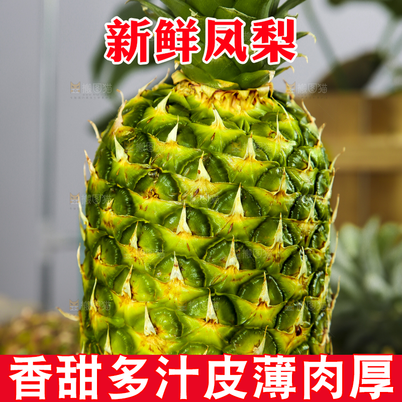 一个新鲜的凤梨