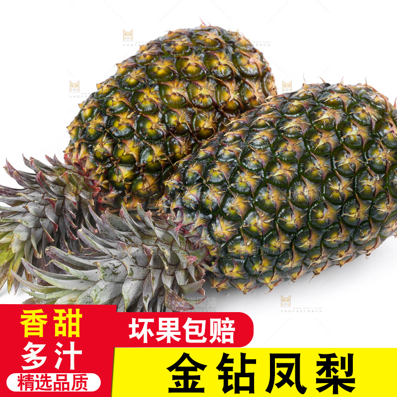 白底上的新鲜凤梨