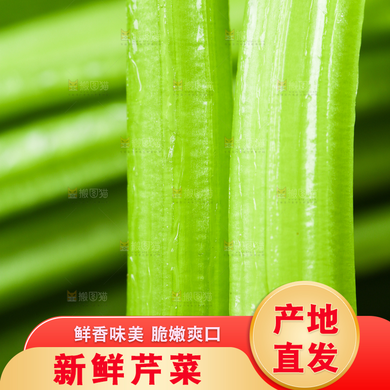 黑底上放着小芹菜