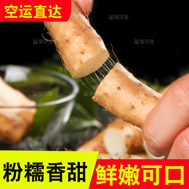 手里拿着白山药