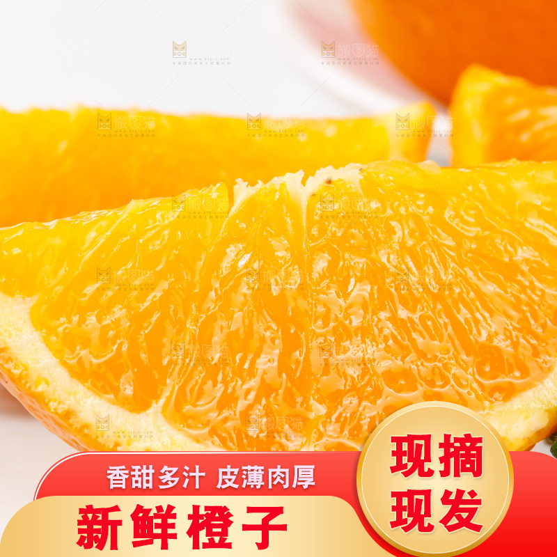白底上放着新鲜橙子
