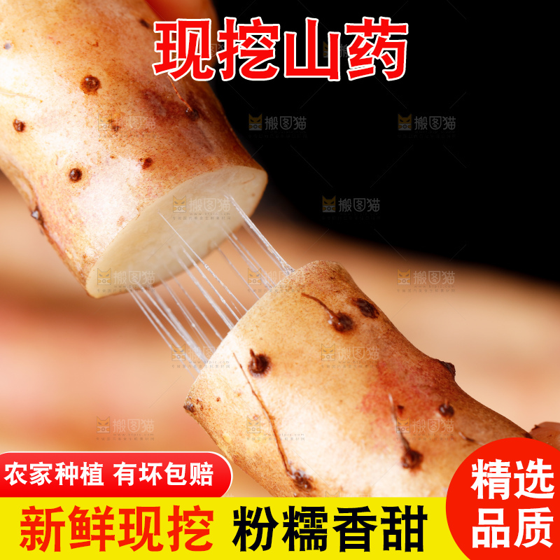 手里拿着小白嘴山药