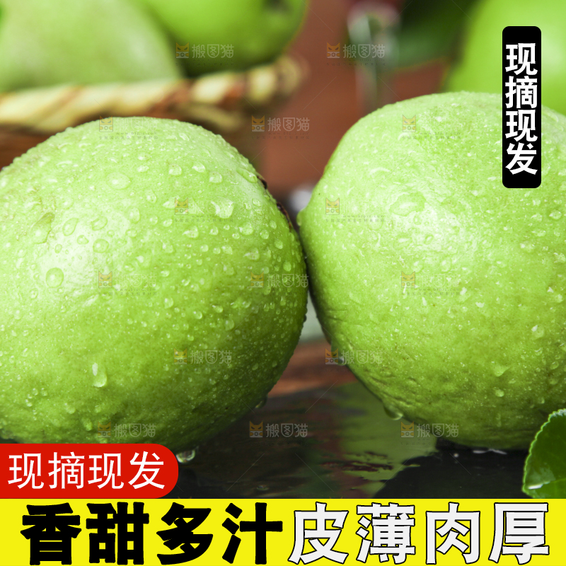 黑底上放着红心芭乐