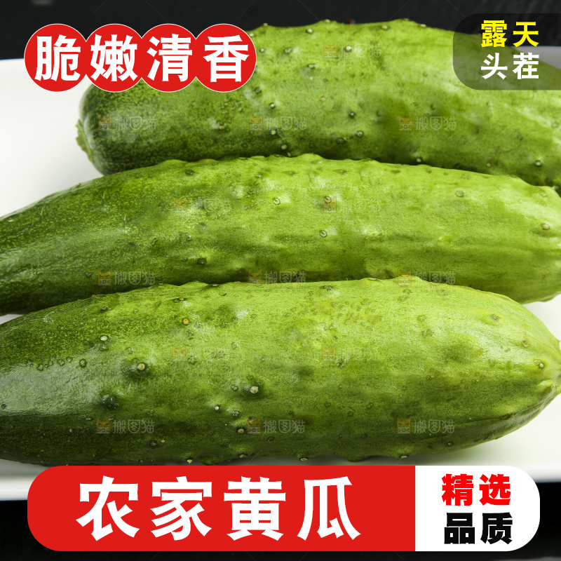 深底上放着一盘新鲜黄瓜