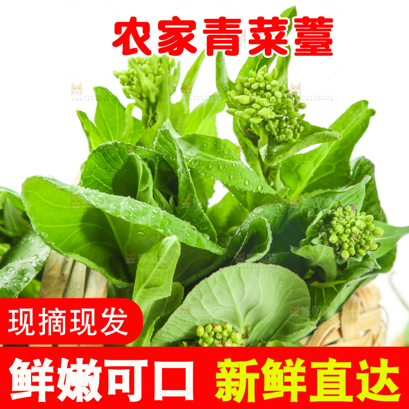 篮子里放着青菜薹