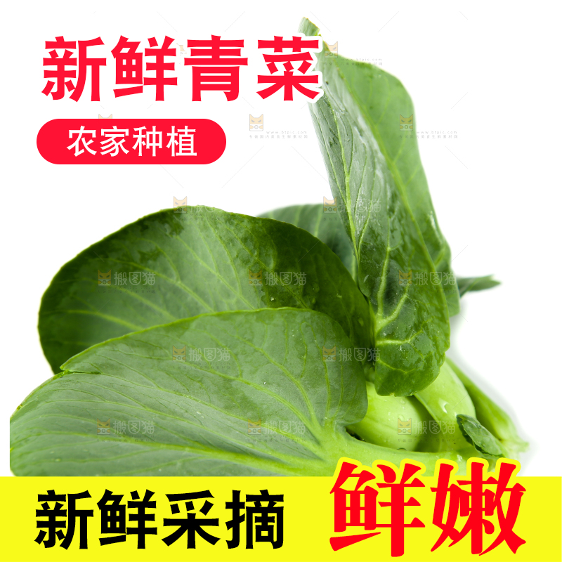 白底上放着青菜