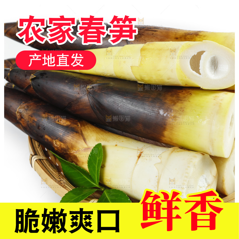 白底上放着一筐天幕山春笋