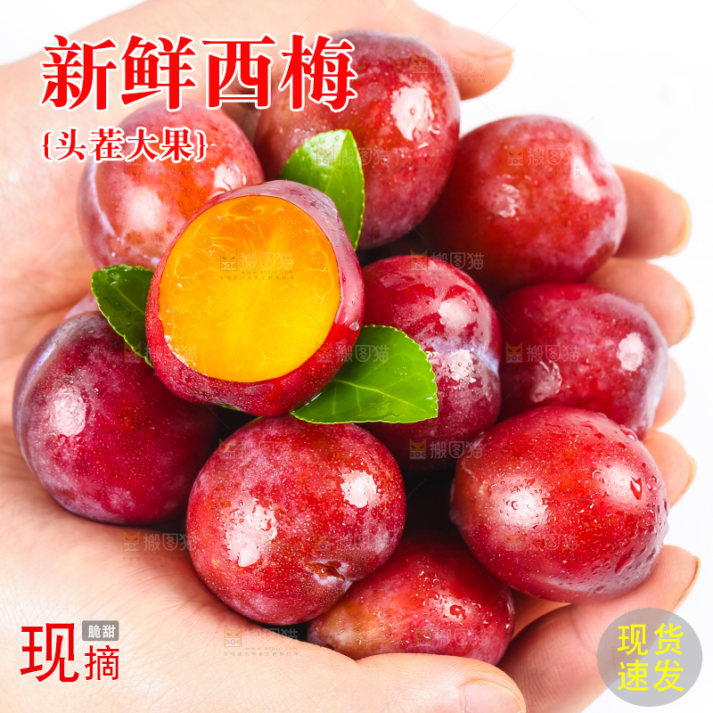 手拿着新鲜大西梅