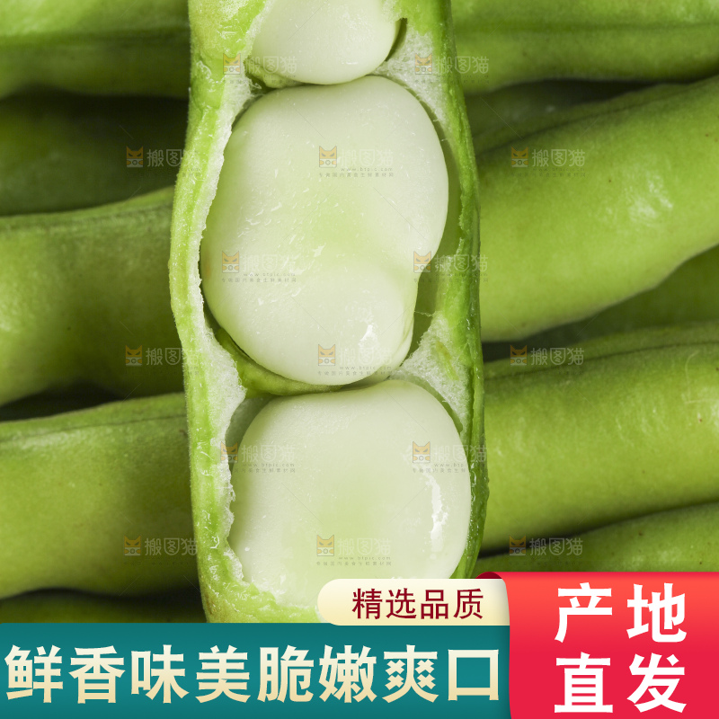 白底上放着新鲜蚕豆