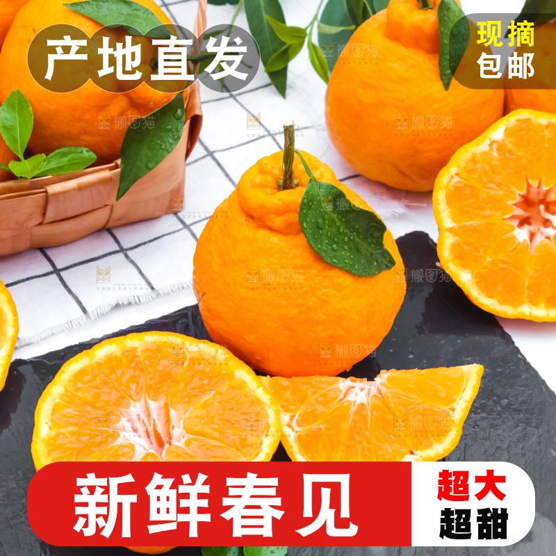 黑石板上放着切开的四川春见柑桔
