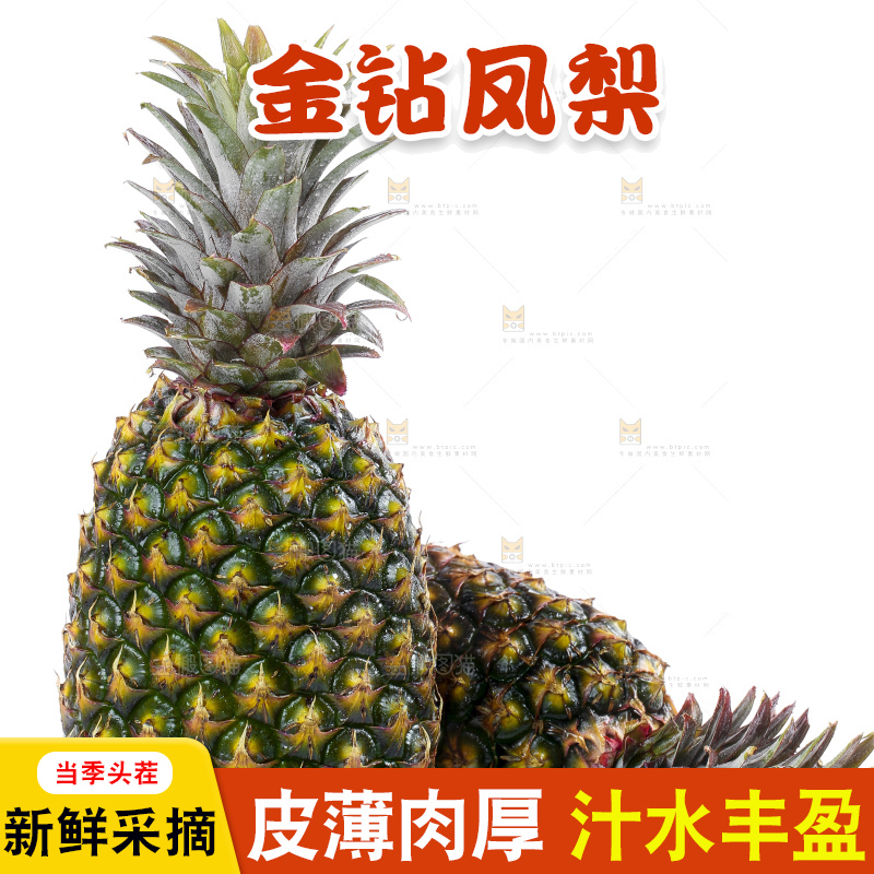 白底上的新鲜凤梨