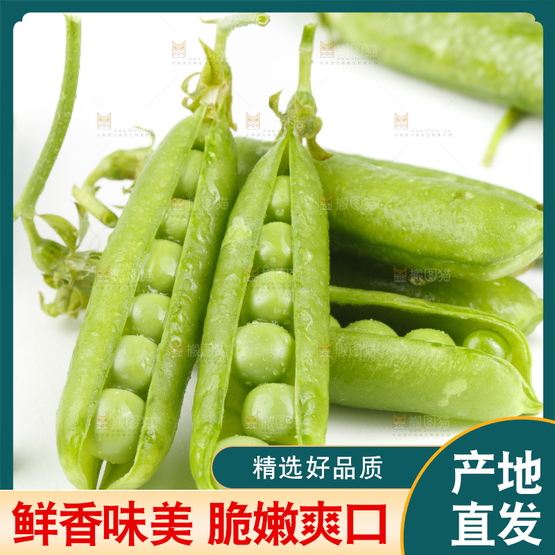 白底上堆放着豌豆