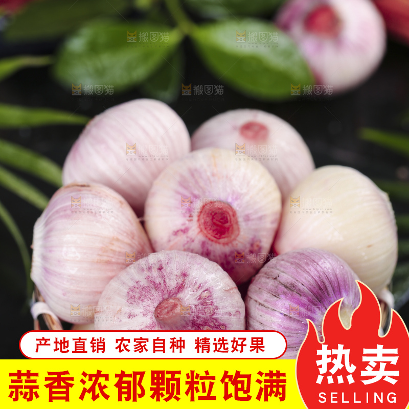 黑底上放着云南紫皮独头蒜