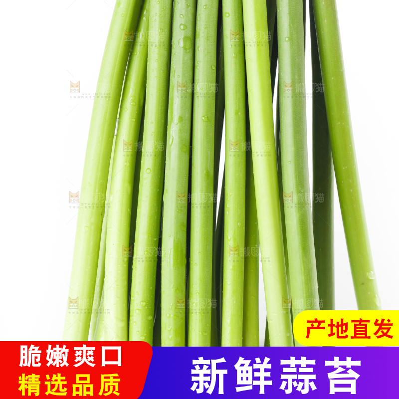 手里拿着鲜蒜苔