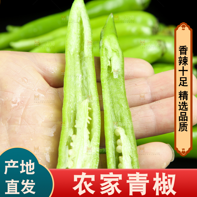 黑底上放着青尖椒