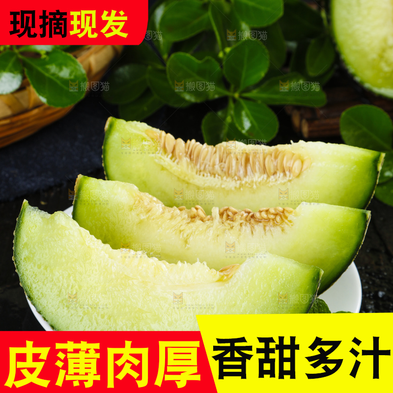深底上放着切开的山东网纹蜜瓜