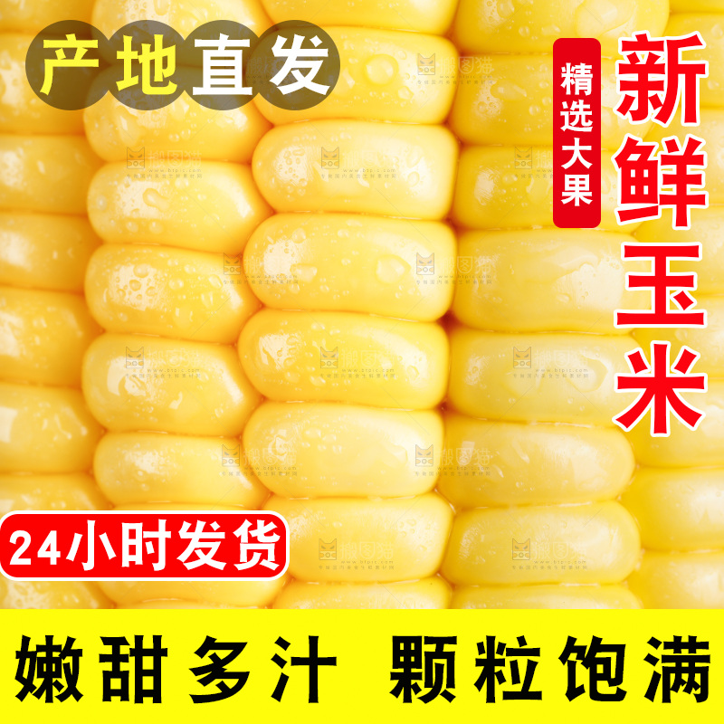 黑底上的玉米棒