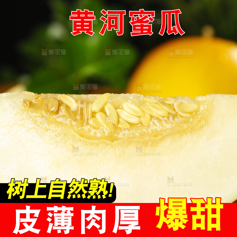 手拿切开的陕西黄河蜜瓜