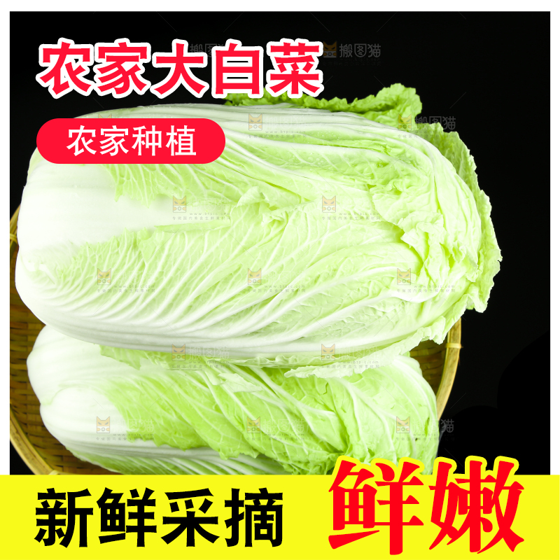 黑底上的黄心大白菜