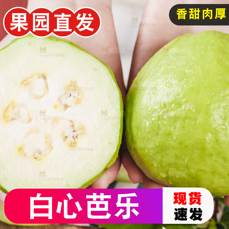 手里拿着白心芭乐